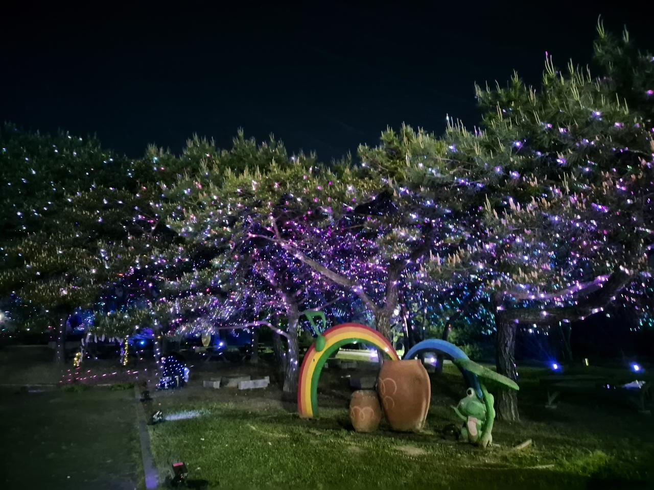 61_역순_포토갤러리_7페이지_2024 울산옹기축제 포.레스트 8.jpg